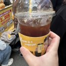 컴포즈커피강릉중앙 이미지