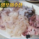 최강수산 이미지