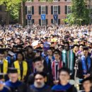 글로벌 트레이더 이미지