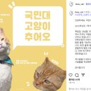 살구라는 이름의 고양이