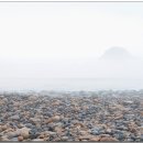 공룡민박 이미지