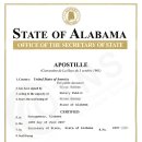 HOPE 행정사사무소 이미지