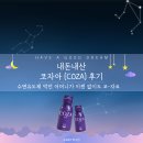 코자아 내돈내산 후기 10만원대 선물 추천