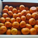 강남대로6길 44-2 이미지