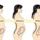 안다미로필라테스 이미지