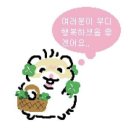 5월의 어느 날 마지막