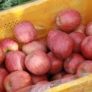 구룡농협내산지점 이미지