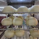 영천동 영천동주민센터 앞 이미지