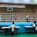 태우복싱짐