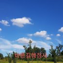 바른길행정사무소 이미지