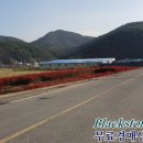 진전면842 이미지