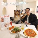 스타애견 | 고양 스타필드 맛집 라브리크, 애견동반 파스타 즐기고 온 후기