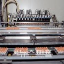 주식회사 생명 이미지