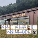 포레스트569