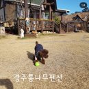 경주 수약국 이미지