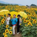 2월2일 월요일 창원방 출석부 신약세 바자회장터 성금 고맙습니다 이미지