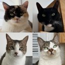 호텔누누 이미지