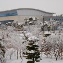호원대학교2