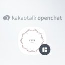루시디자인