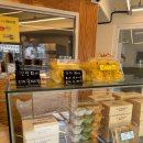 남망길 | 통영 꿀빵 단나아저씨 파이꿀빵 내돈내산 후기