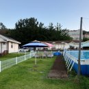 제부 포레스트 이미지