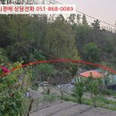 포항시북구65 이미지