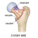 가제트병원 이미지