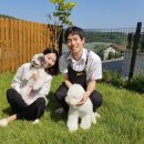 슈앤트리 이미지