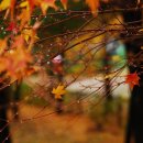 소향공원 이미지