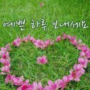 항상좋은날 이미지