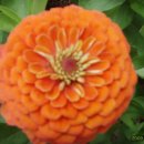 춘천호반체육관 이미지