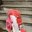 안양광권투 이미지