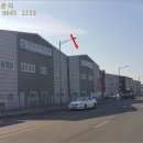 엠티브이15로 이미지