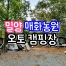 매화관광농원캠핑장 | 20.09.12 밀양 매화관광농원 오토 캠핑장 숲속 힐링~!