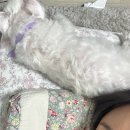 NR-47[동일로]-상-2 | [선희일기 50] 남편이랑은 싸우고 시댁에서는 사랑받은 추석, 10월 2주차