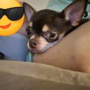 AK코인노래연습장 이미지