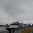 빨간구두 소녀상 이미지