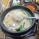 마농삼계탕 | 서귀포 신시가지 맛집 삼계탕 몸보신 마농 삼계탕