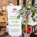의정부데이트 추천코스 빙벽카페 달리온 내돈내산 후기