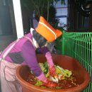 명가김치찜 이미지