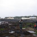 제주공항가까운게스트하우스 이미지