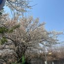 창원국제사격장 R/T 사격장 | 창원 정병산 둘레길 등산코스 ⛰️정병산 트래킹 등산후기🚶🏻‍♀️🚶🏻