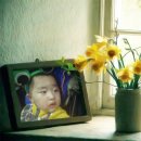 컴퓨터 프로그램 이미지