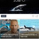 미국 데이비스 살이/24.11.11.월/캘리포니아 1번 국도/USRoute1/5일차/몬터레이베이 수족관