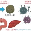 우리장 이미지