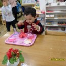 신촌유치원 Daum카페