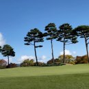 비젼힐스 이미지