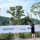 2025 화성특례시 특별한 콘서트 후기 박기영 이석훈 10cm 국카스텐 이승환