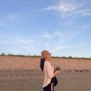 생태공원 태양광주차장 이미지