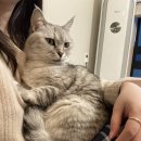 까까맘마 이미지